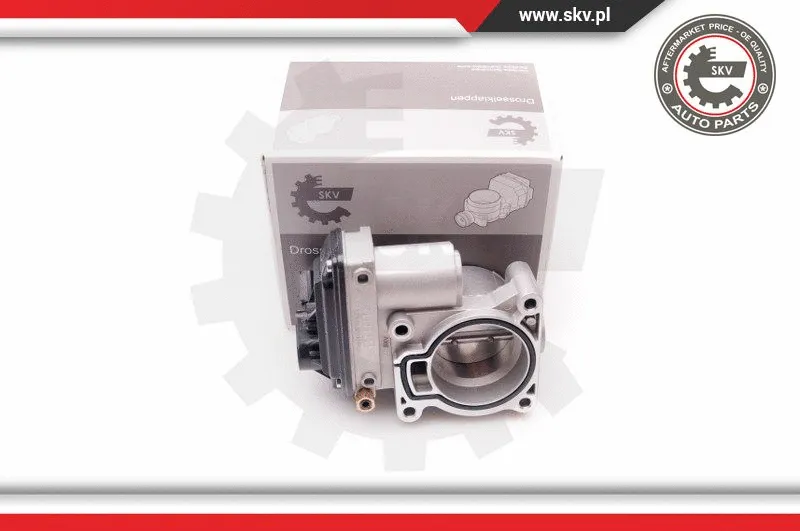 Throttle Body (12SKV069)