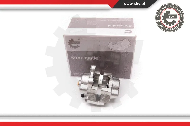 Brake Caliper (34SKV182)