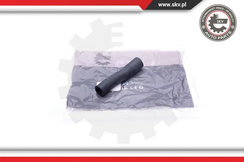 Radiator Hose (24SKV365)