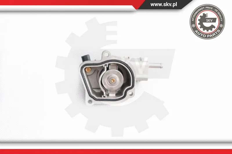 Thermostat, coolant