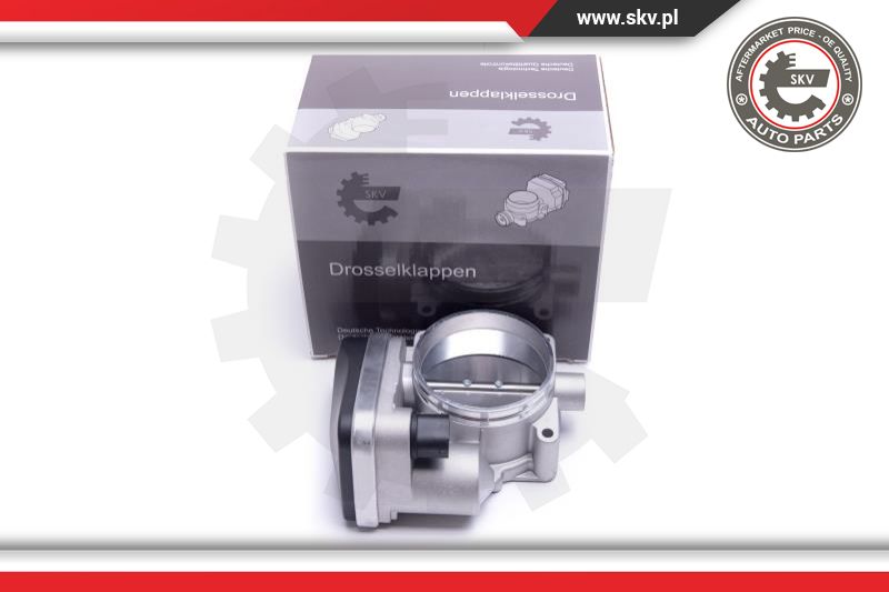 Throttle Body (12SKV121)