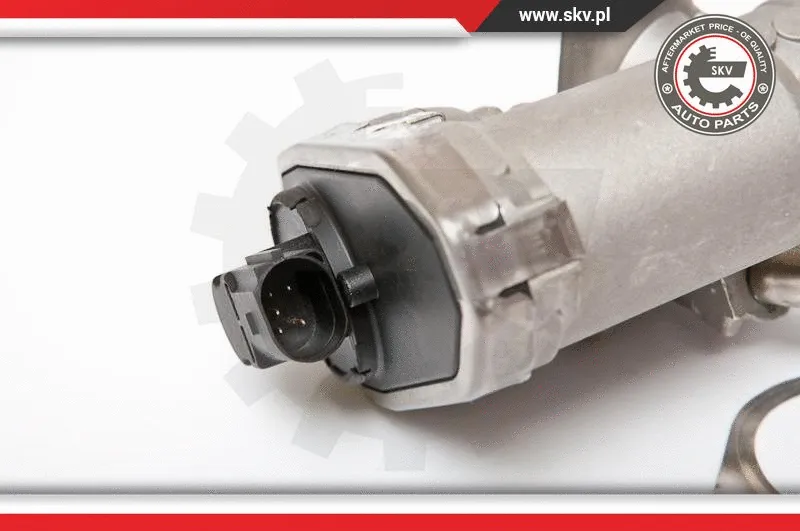 EGR Valve