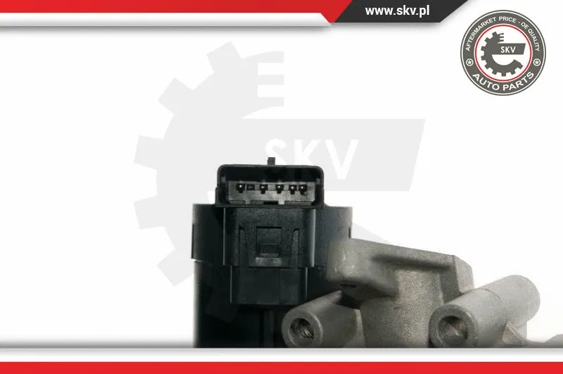 EGR Valve