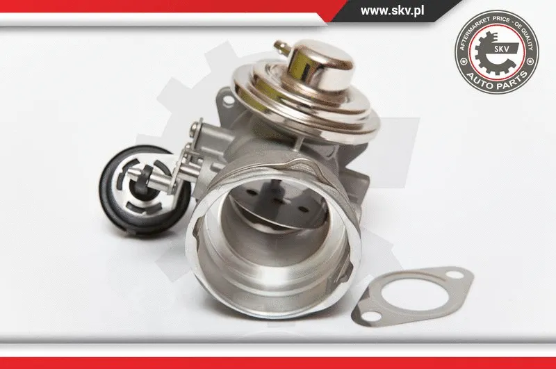 EGR Valve