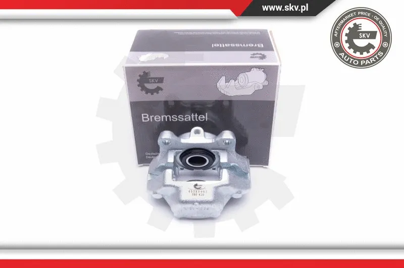 Brake Caliper (45SKV993)
