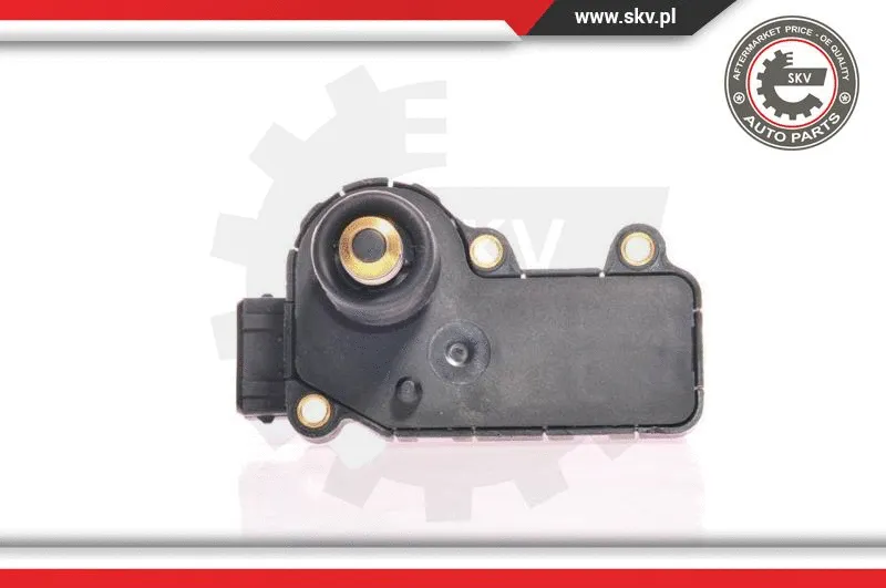 Idle Control Valve, air supply (08SKV200)
