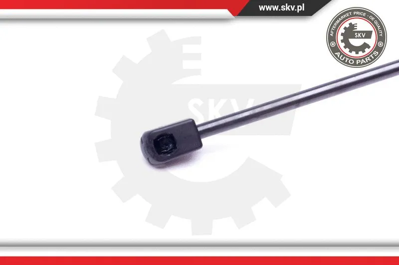 Gas Spring, boot/cargo area