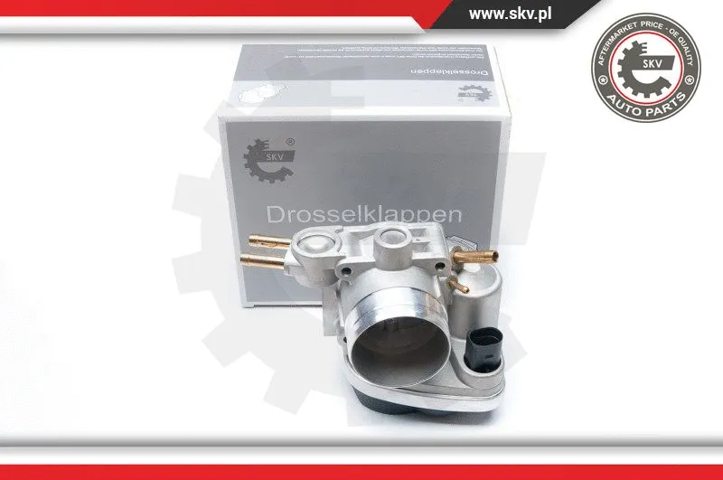 Throttle Body (12SKV048)