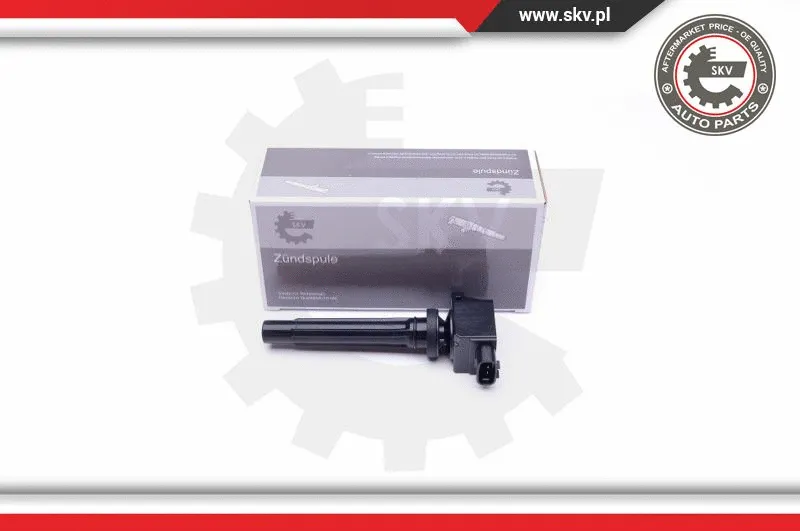 Ignition Coil (03SKV341)