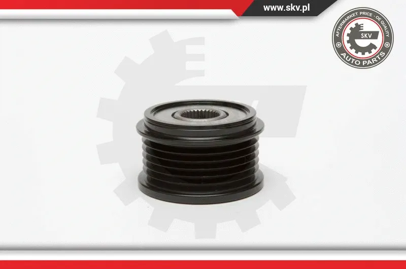Alternator Freewheel Clutch