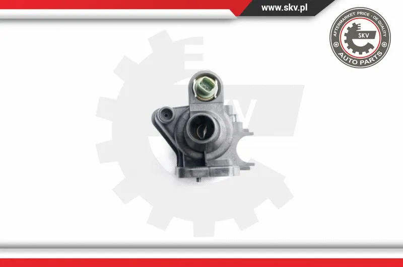 Thermostat, coolant
