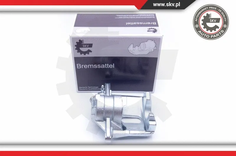 Brake Caliper (42SKV222)