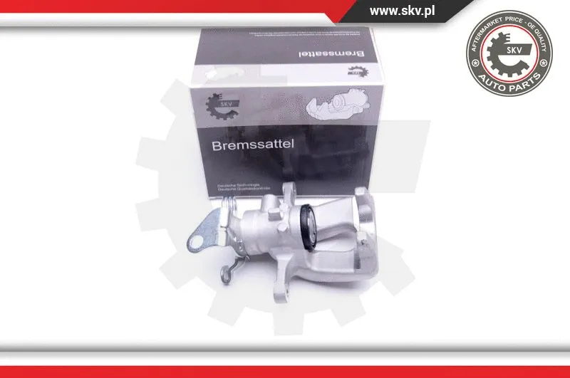 Brake Caliper (44SKV053)