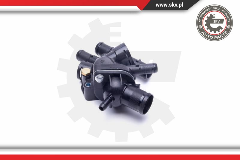 Thermostat, coolant