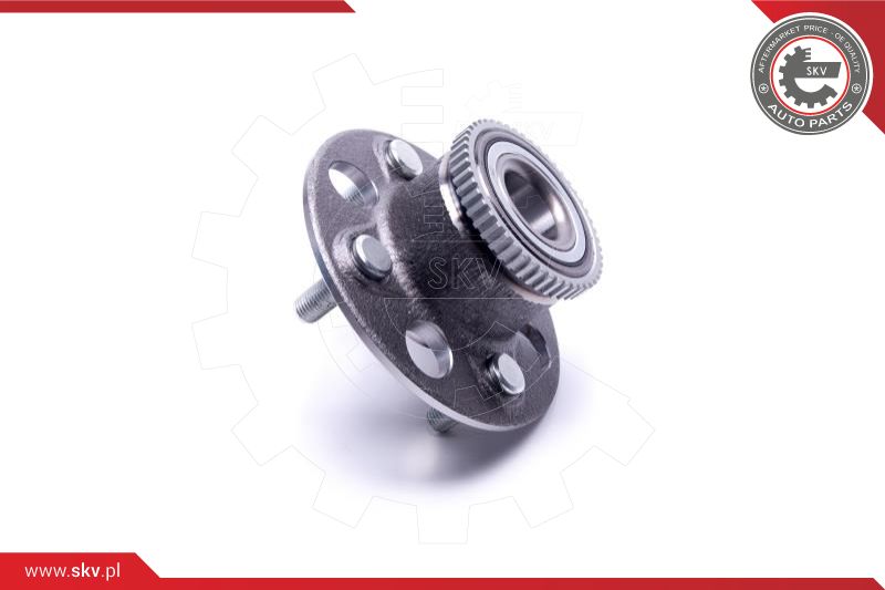 Wheel Bearing Kit