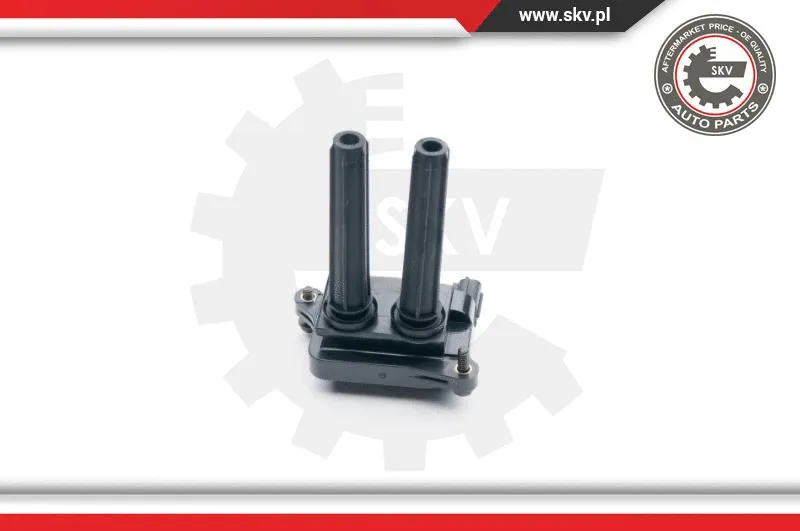 Ignition Coil (03SKV250)