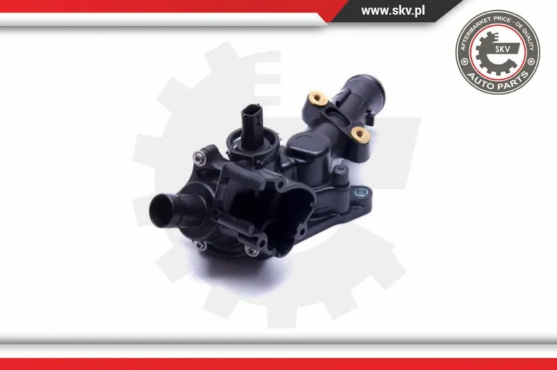 Thermostat, coolant