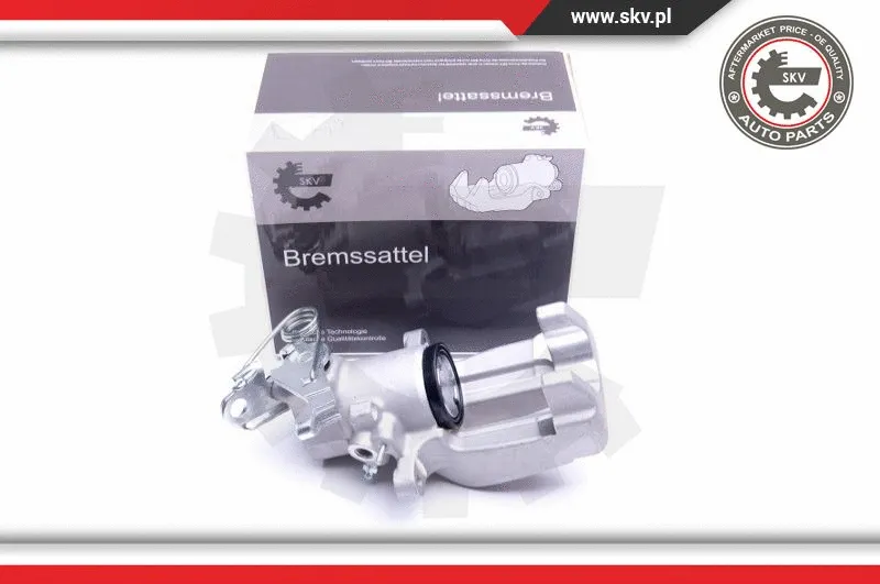 Brake Caliper (44SKV064)