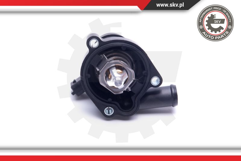 Thermostat, coolant
