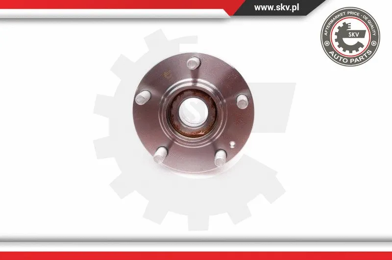Wheel Bearing Kit (29SKV058)