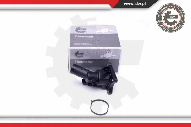 Thermostat, coolant (20SKV086)