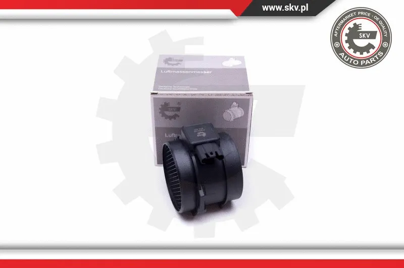 Mass Air Flow Sensor (07SKV169)