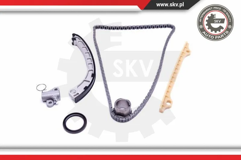 Timing Chain Kit