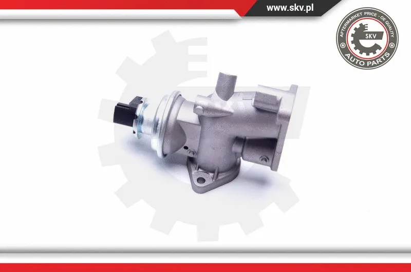 EGR Valve