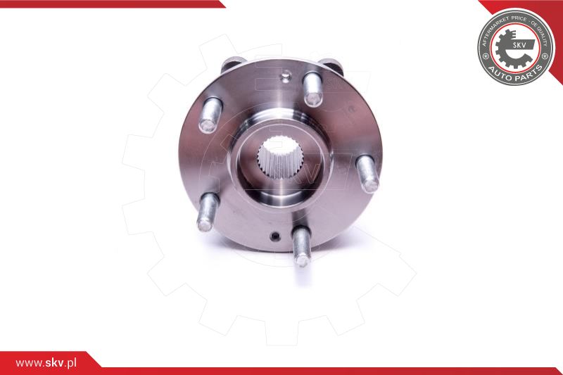 Wheel Bearing Kit