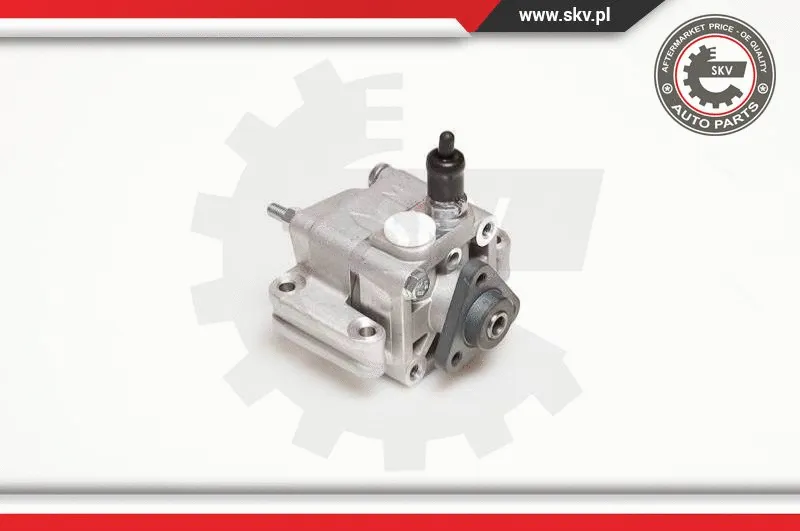 Hydraulic Pump, steering (10SKV109)