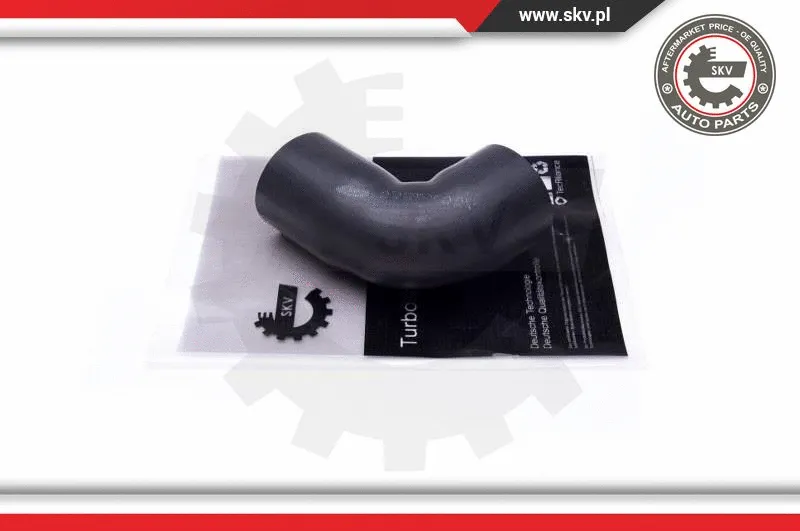 Charge Air Hose (43SKV446)