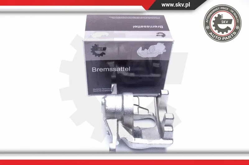 Brake Caliper (44SKV871)