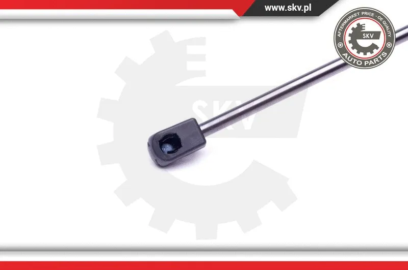 Gas Spring, boot/cargo area