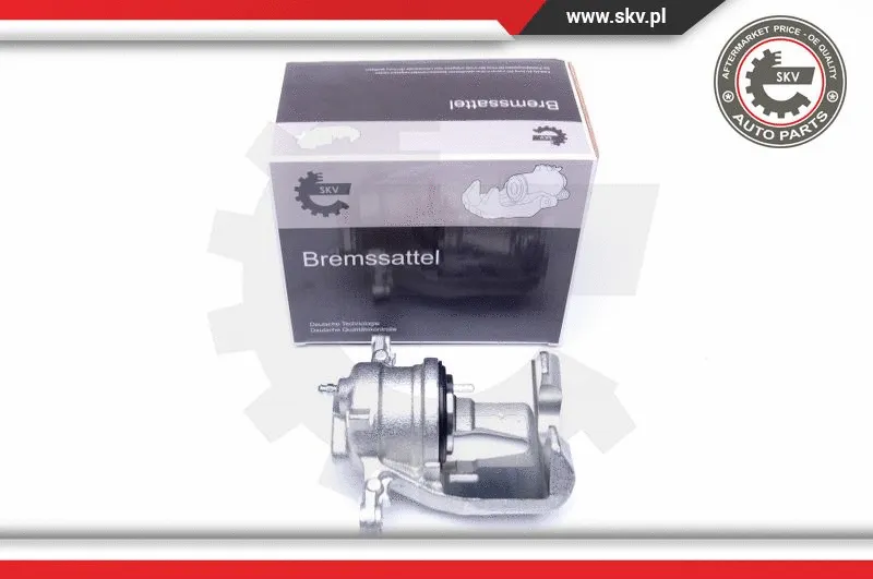 Brake Caliper (42SKV232)