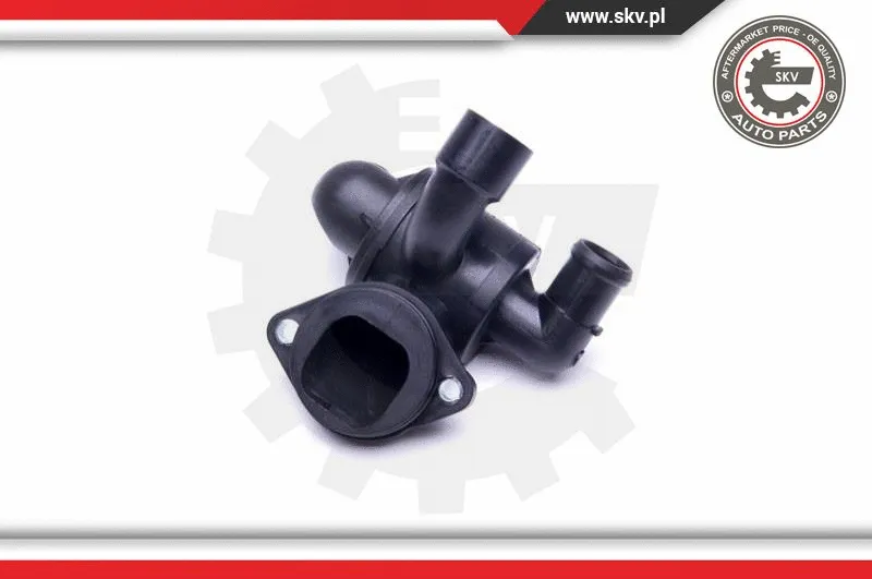 Thermostat, coolant