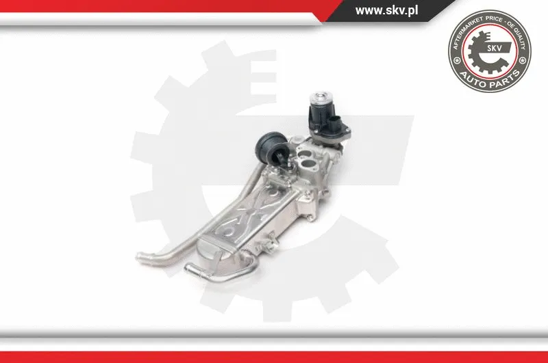 EGR Valve