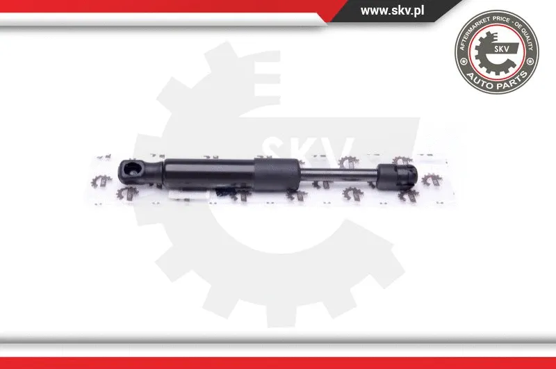 Gas Spring, boot/cargo area