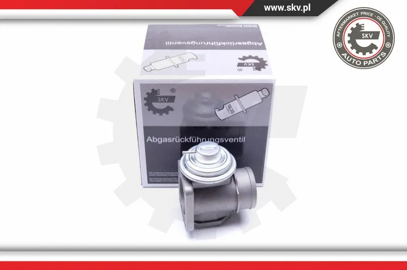 EGR Valve (14SKV174)