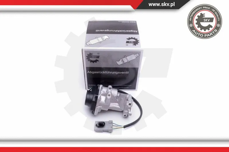 EGR Valve (14SKV216)