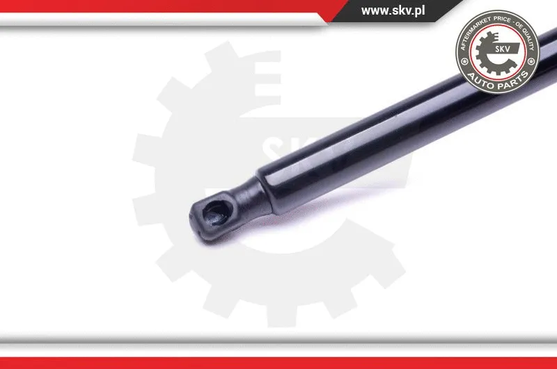 Gas Spring, boot/cargo area