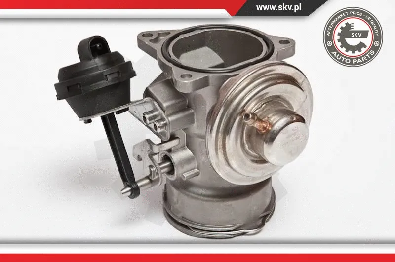 EGR Valve