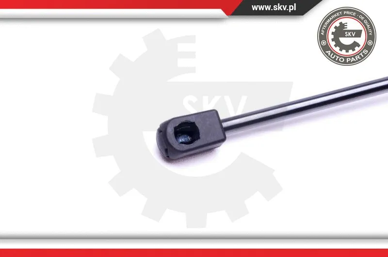Gas Spring, boot/cargo area
