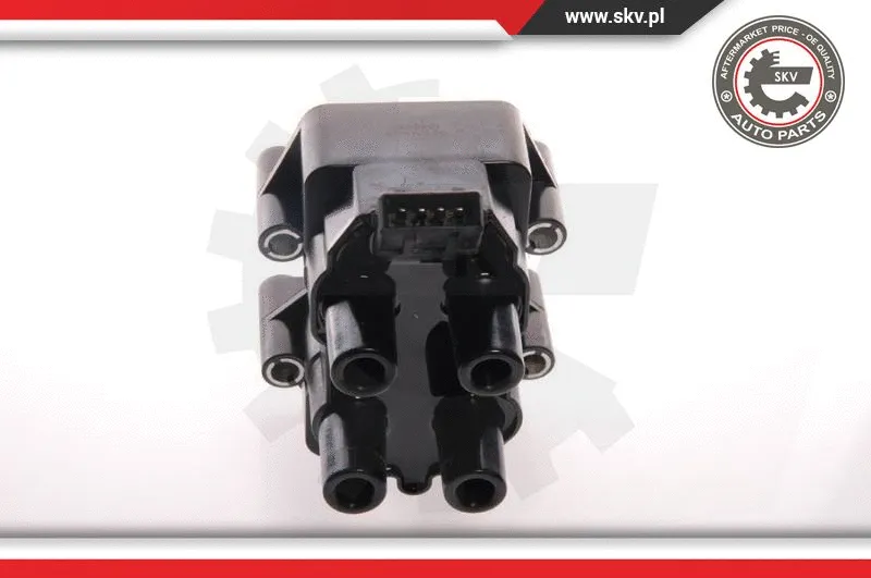 Ignition Coil (03SKV061)