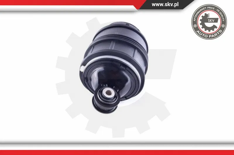 Air Spring, suspension