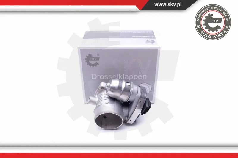 Throttle Body (12SKV080)