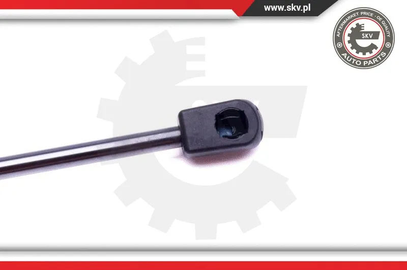 Gas Spring, boot/cargo area