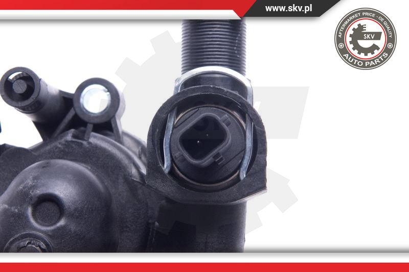 Thermostat, coolant