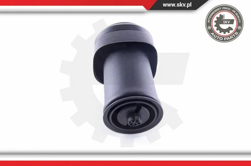 Air Spring, suspension