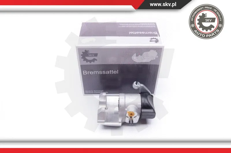 Brake Caliper (34SKV874)