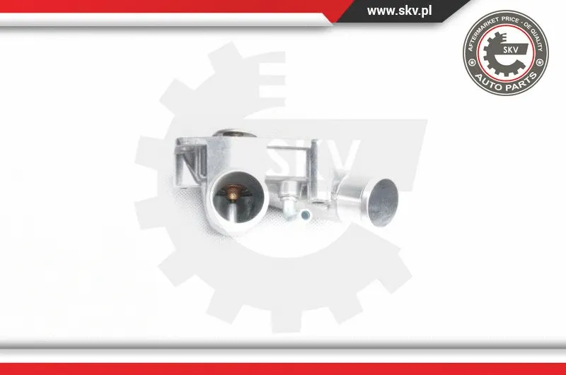 Thermostat, coolant